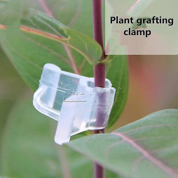 100 st Plast Trädgårdsympningsklämmor Mini Transparenta Tomatväxtstöd Klämmor Tw 4.5mm