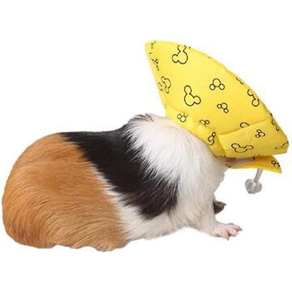Ifeng Hamster Cone E-krage Igel Elizabethanskrage Återhämtningshalsduk Andningsbar Mjuk Marsvin Amningskrage För Smådjur