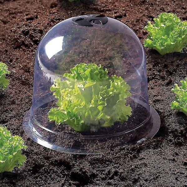 Salad Bell X12 Skyddande växthus för växter-aleko