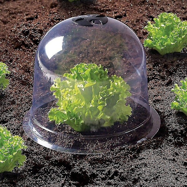 Salatklokke X12 Beskyttende Drivhus Til Planter-aleko