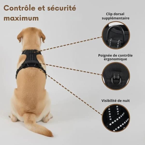 Blå reflekterende \"no-pull\" hundesele (Størrelse L) med justerbar vest, frontfæste og snor (1,5m)