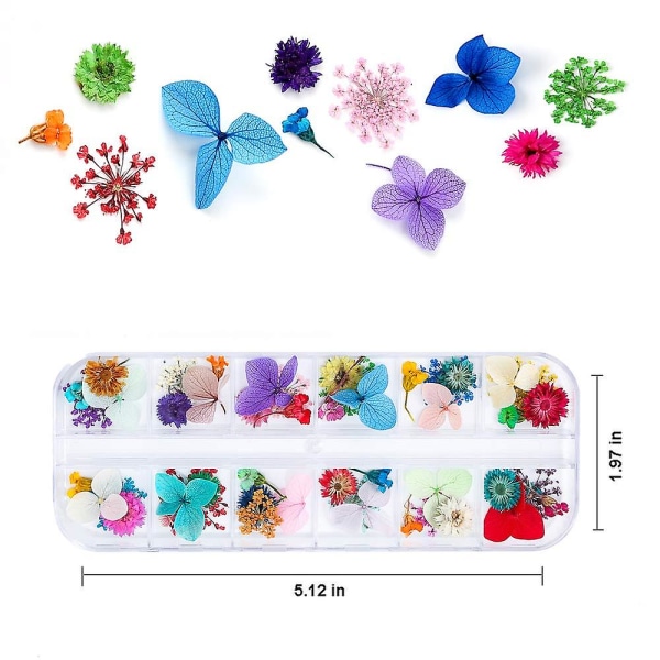 Torkade blommor kompatibla med harts Nail Art 3d torra blommor kompatibla med naglar 2 lådor Små små torkade blommor kompatibla med nail art Little Pr