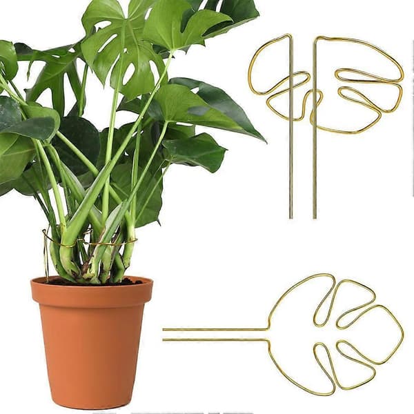 Växtstöd Monstera-formad Inomhusväxtstöd Stadigt Blomstöd