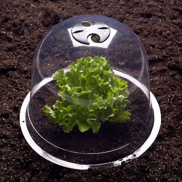 Salat Bell X12 Beskyttende drivhus til planter-aleko
