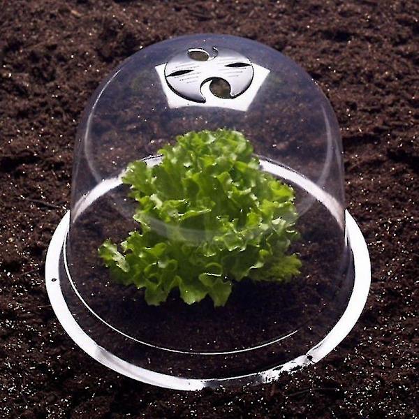 Salatklokke X12 Beskyttende Drivhus Til Planter-aleko