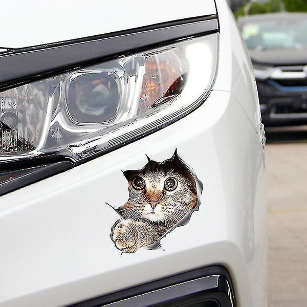 3D Cat -autotarratarra / tarra ikkunaan, kuorma-autoon, autoon