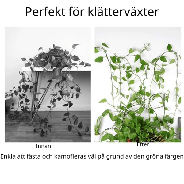 Selvklæbende planteholdere - Smarte usynlige planteclips 80-pak 80-Pack