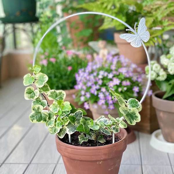 Metall Järn Rund Hjärtformad Trädgård Växtstöd Stake Stativ För Diy Krukväxter Klättring Växter Blomma Grönsaker Vinrankor (svart)2st