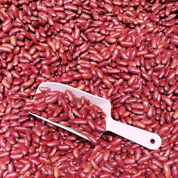 Pp Plast Mat Sked Mat Skop Mjöl Supermarket Spannmål Is Nötter Godis Buffé Djurfoder Skedar Lasta Och Sätta Verktyg 1st Green