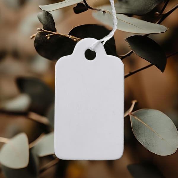 100-pack pappersetiketter / prislappar med snöre Vit 3,5 x 2,2 cm Vit 3,5 x 2,2 cm 3.5 x 2.2 cm