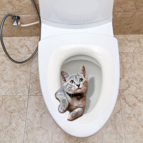 Söt Kattdekal Toalettdörrdekal