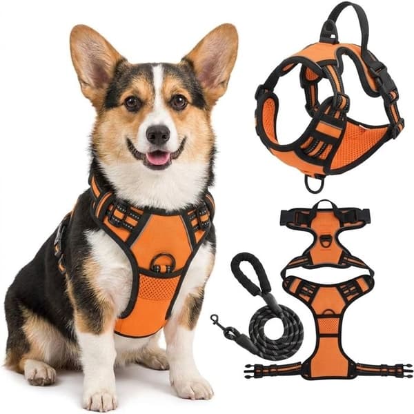 Hundsele: Orange, Anti-drag, Reflex, Justerbar Väst (Storlek S), Frontfäste, Koppelkrok Ingår (1.2m)