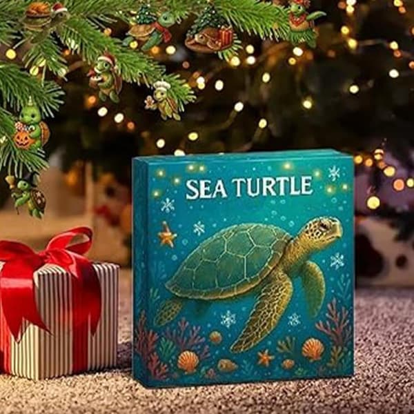 Havskildpadde Julekalender 2026 – 24 Dage med Overraskelser med Miniskildpadder og Julepynt