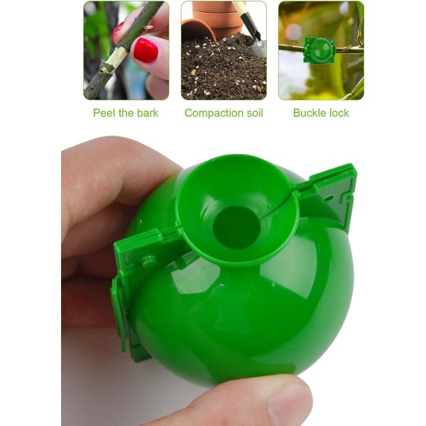 （5cm）Planter Root Growing Box 12 stykker Root Device Plant Propagation High Pressure Ball Rooter Box Gr