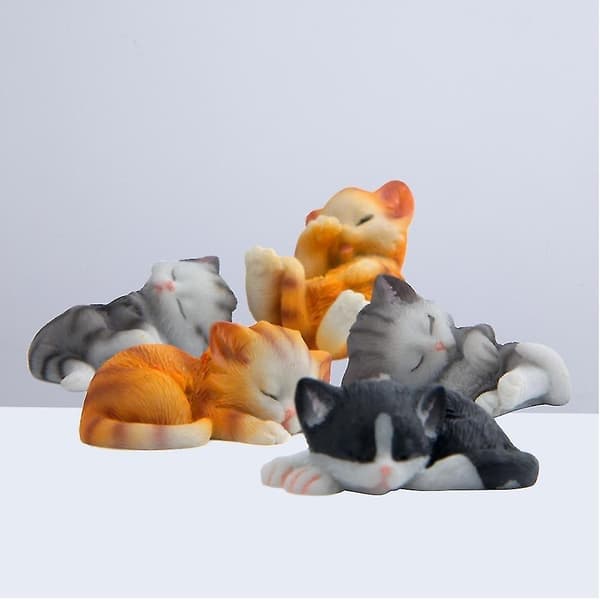 5-pack Kylskåpsmagneter Roliga Kylskåpsmagneter Katt Kylskåpsmagneter Kylskåpsmagneter Kylskåpsmagneter