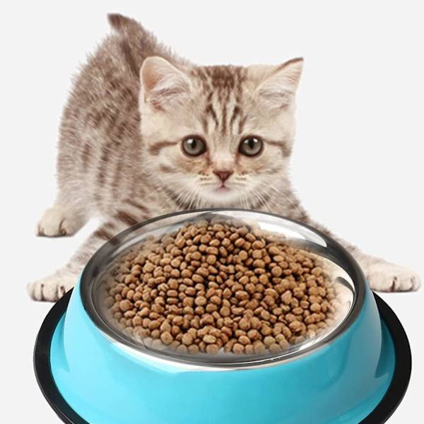 Rustfrit Stål Kæledyrsskåle til Katte, 2 Stykker Skridsikre Hundeskåle til Små Hunde og Katte