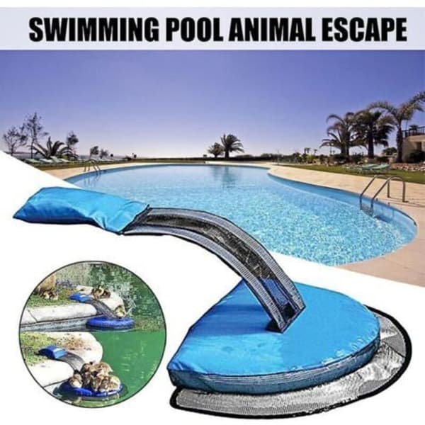 Flydende redningsrampe til dyr – Holdbar plast – Passer til alle pools – Forebyggelse af drukning