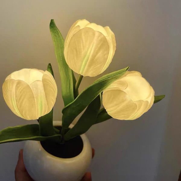 Tulip Flower Natlampe Langvarig Soveværelse Natlampe Til Stue Soveværelse Studieværelse