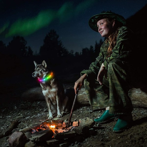 Led-hundehalsbånd, oppladbart regnbuefargeskiftende lys-opp hundehalsbånd, vanntette hundelys gjør kjæledyret synlig og sikkerhet for natten Walkingrainbow