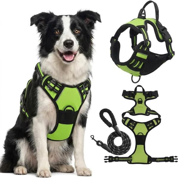 Reflekterende hundesele uden træk – Justerbar vest – Størrelse M – Frontfæste og snorkrog (1,5m)