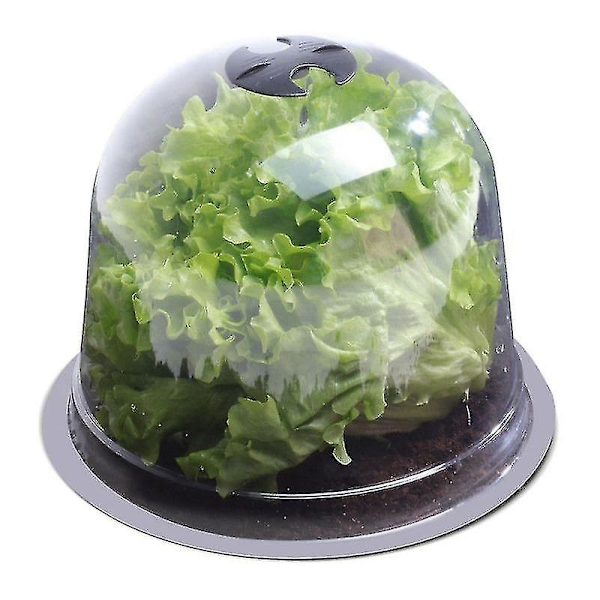 Salatklokke X12 Beskyttende Drivhus Til Planter-aleko