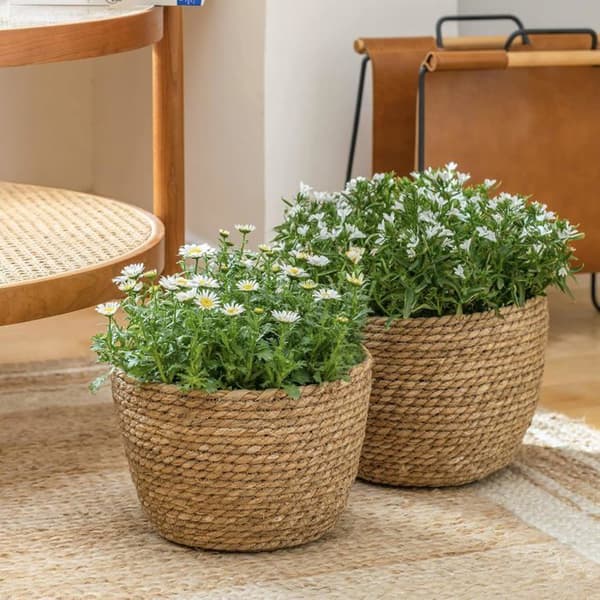 Blomsterpotter - HANDEIU - Sett med 3 - Sjøgress - Brun - Vanntett