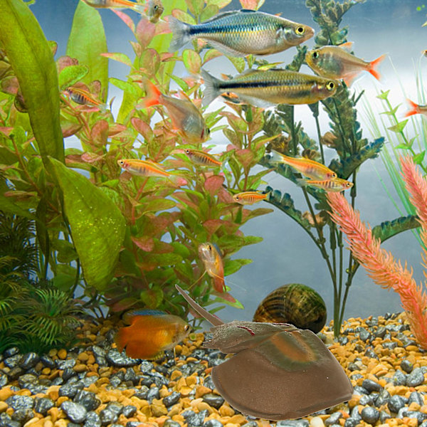 Peisdekorasjon Undervannslandskap Ornamenter Sjødyr Display Modeller Kunstig Fisk Akvariumdekorasjon Akvarium Tilbehør