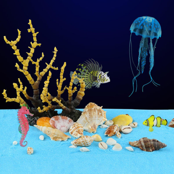 200 g konkylie skaller koralsten håndværk akvarium dekoration akvarium landskab