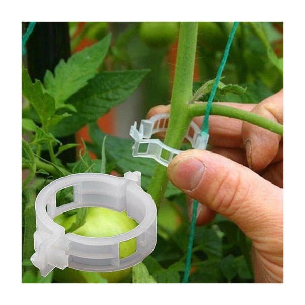 200 plaststøtteklemmer for tomatplanter