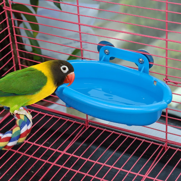 Badbur för fågel - Undulat hängande litet badkar för papegojparakiter/kanarie/undulatdusch (blå)