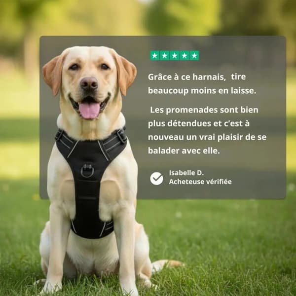 Blå reflekterende \"no-pull\" hundesele (Størrelse L) med justerbar vest, frontfæste og snor (1,5m)