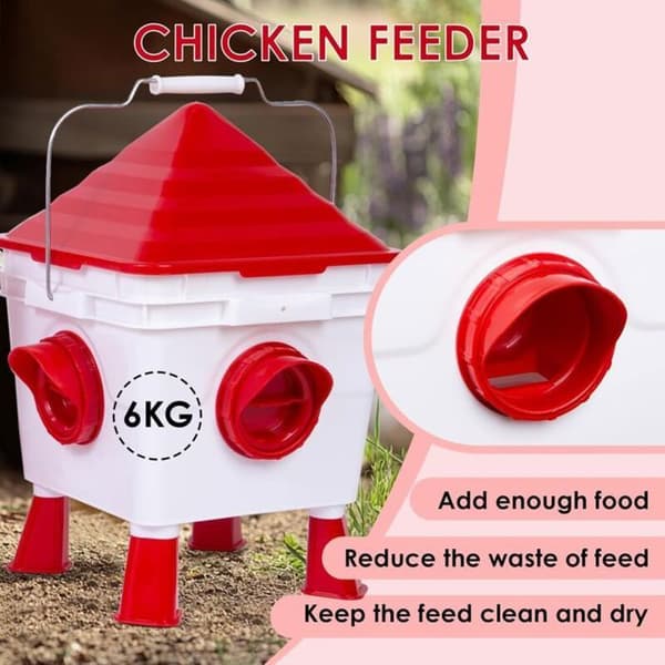 Automatisk hønsefoder- og vandingssæt, 6 kg + 8 L med 4 porte og 4 kopper, justerbare ben