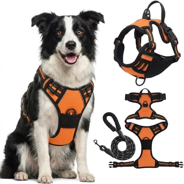 Orange Trækfri Reflekterende Hundesele, Justerbar Vest (Størrelse M), Frontfæste & Snorholder (1.5M)