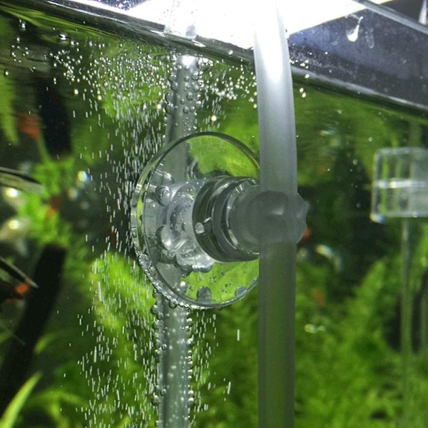 20 stk. Klart Akvarium Sugkopper, 5mm Akvarium Sugkopper med Rørholderklemmer
