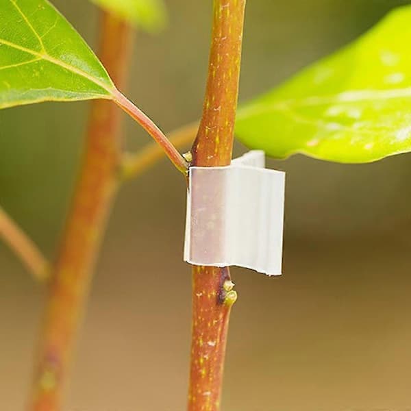 100 st Plast Trädgårdsympningsklämmor Mini Transparenta Tomatväxtstöd Klämmor Tw 2mm