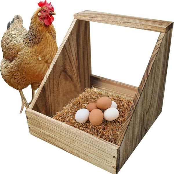 Vaskbare reirputer til høns (30,5 cm) - Pakke med 8 - For egglegging og tilbehør til hønsehus