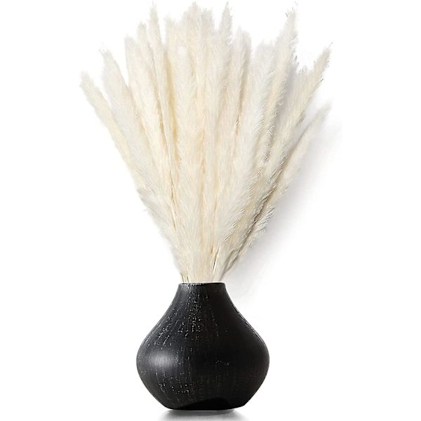 Kuivattu Pampas-ruoho, luonnollinen Pampas-ruoho kuivattu Pampas, Pampas-ruoho luonnollinen, Dri