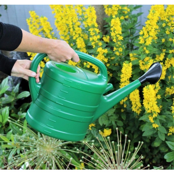 Puutarhan kastelukannu CAN , sprinkleripäällä ruusuvesi irrotettava suutin 10 litraa puutarhanhoitoon, kasveihin, kukkoihin, riippuviin kasveihin