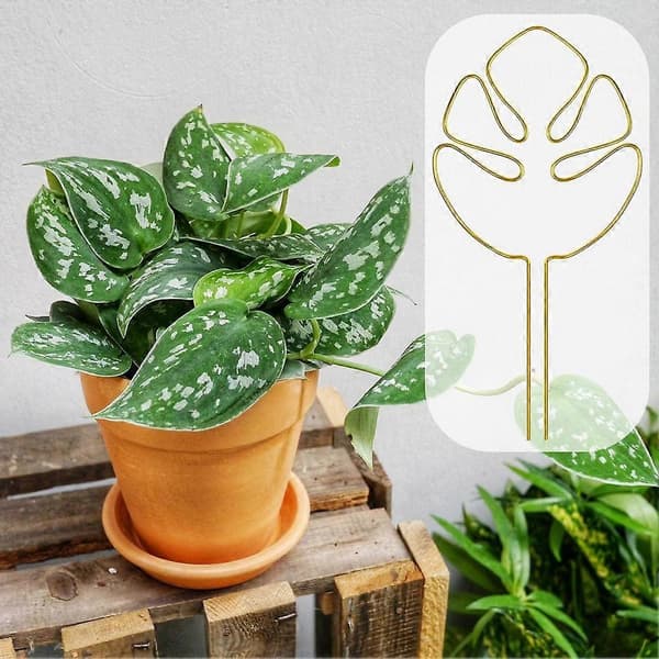 Växtstöd Monstera-formad Inomhusväxtstöd Stadigt Blomstöd