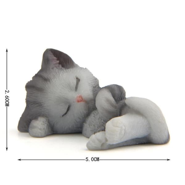 5-pack Kylskåpsmagneter Roliga Kylskåpsmagneter Katt Kylskåpsmagneter Kylskåpsmagneter Kylskåpsmagneter