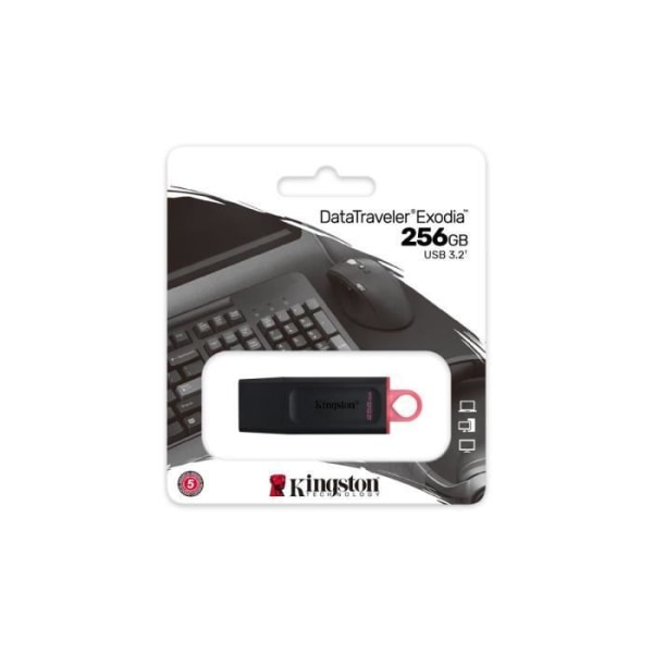 KINGSTON DataTraveler® Exodia 256GB USB-minne - Med skyddskåpa och nyckelringar