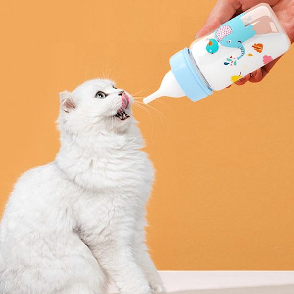 Valp Kattunge Nappflaska Matare Set Katt Hund Bady Nursing Wat A1