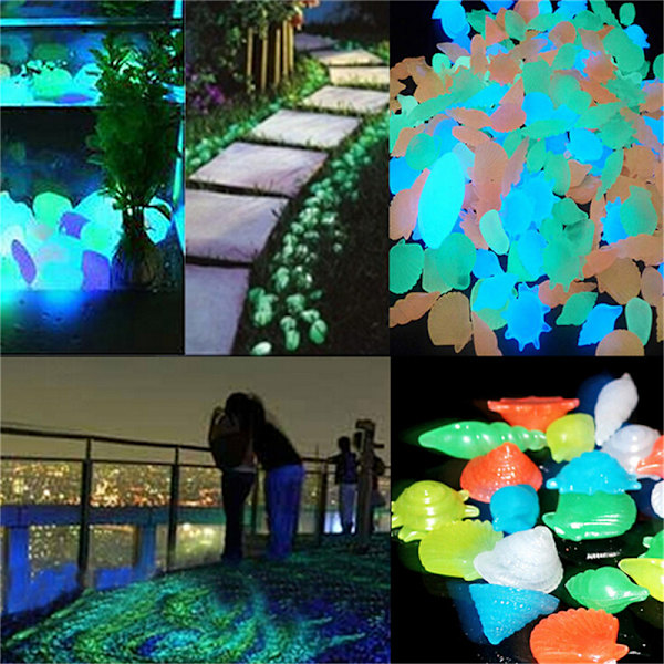 10 st Glow in the Dark Lysande sten Conch Sea Shells Aquarium