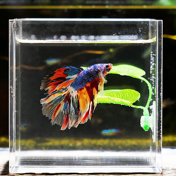 Artificiell akvarium löv s dekoration Betta fisk vila lek