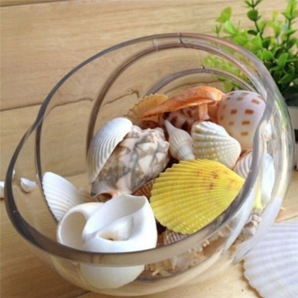 100g Beach Mixed SeaShells Mix Sea Shells Shell Craft SeaShells