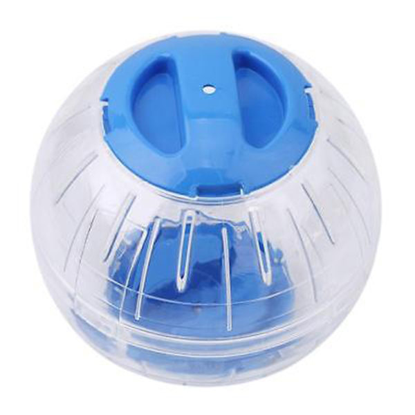 Pet Running Ball Plast Grounder Blue