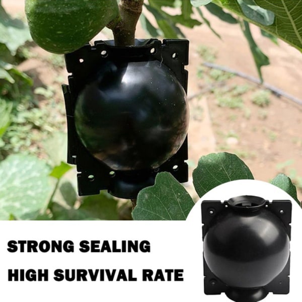 Rooting Högtrycksförökningsboll Högtryckslåda Garde Black2