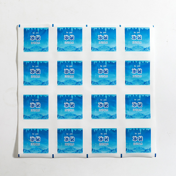 12/16/24Grids Återanvändbar Dry Cold Ice Pack Gel kylväska för ca 16 grids