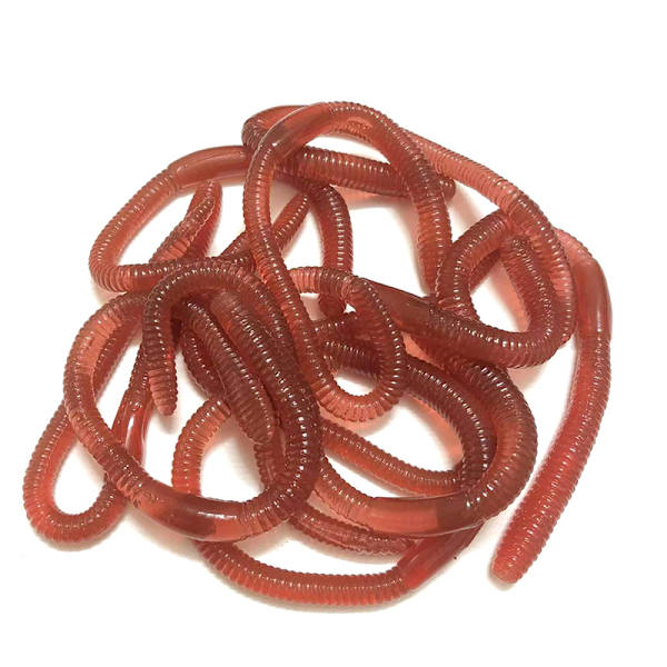 18cm 5g Simulerad insekt modell TPR mjukt gummi smådjur pse 1#