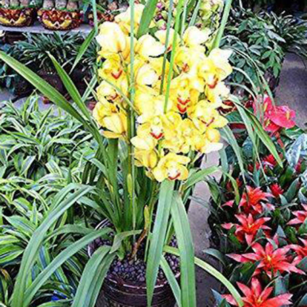 12 st grön blomtejp järntråd konstgjord blomstub stam D